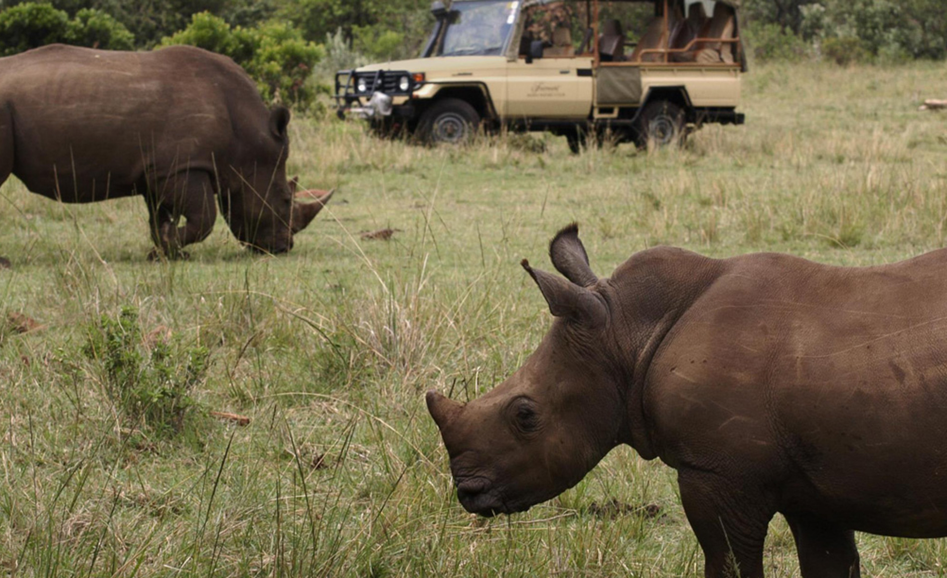 Fairmont Mara Safari Club