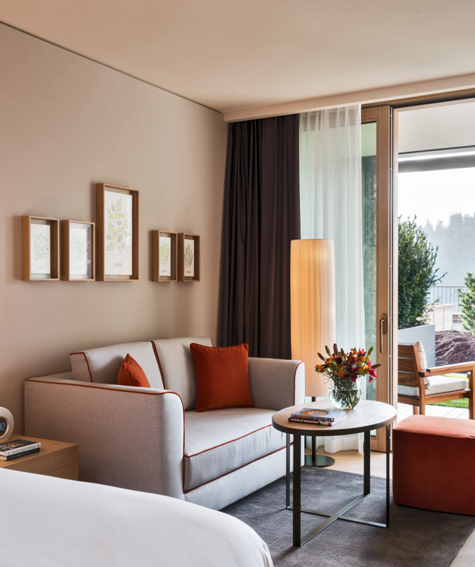 Alpine Deluxe Room with Terrace