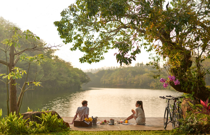 Picnic Delight